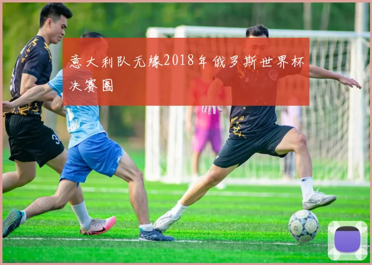 意大利队无缘2018年俄罗斯世界杯决赛圈