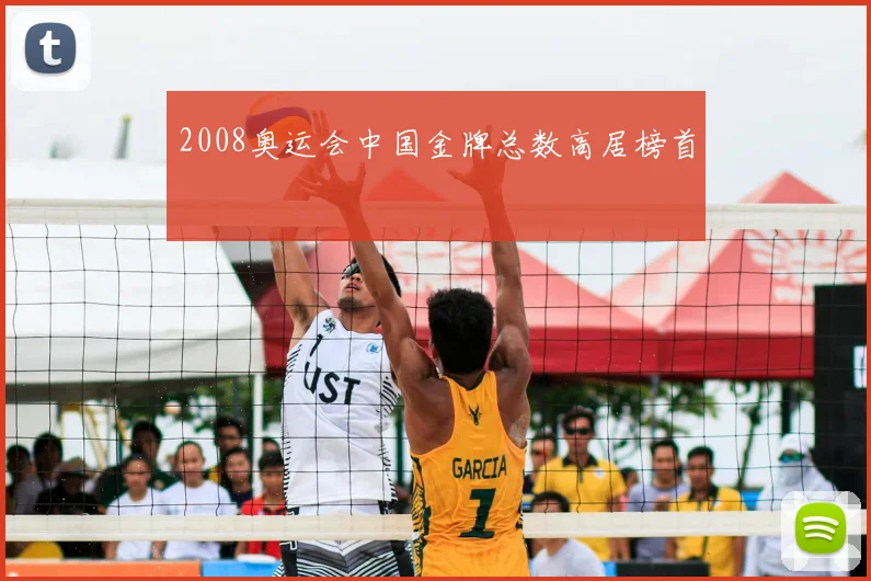 2008奥运会中国金牌总数高居榜首