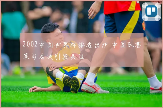 2002中国世界杯排名出炉 中国队赛果与名次引发关注